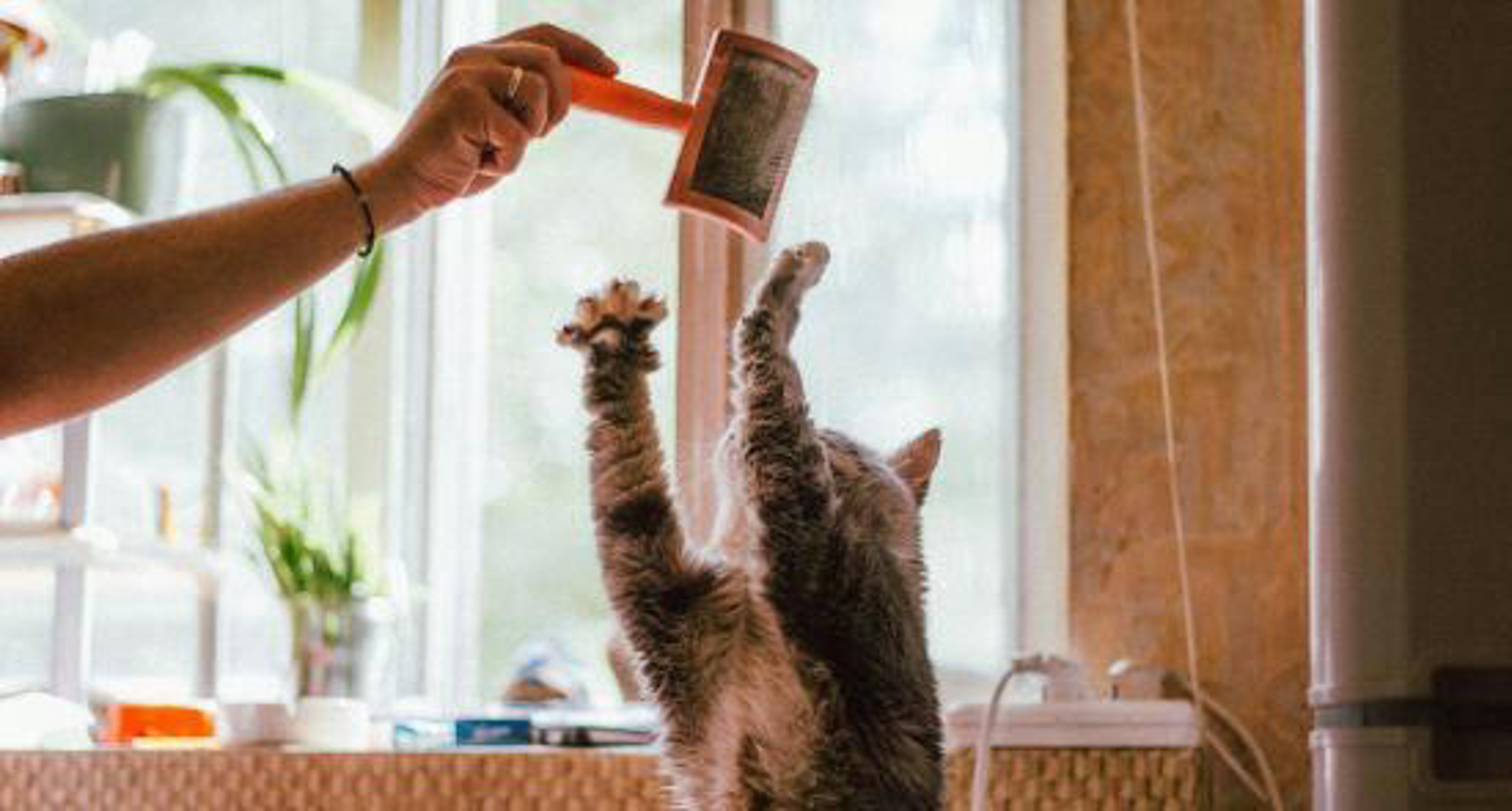 zuges_Bild5_pexels-yuliya-kota-3791591