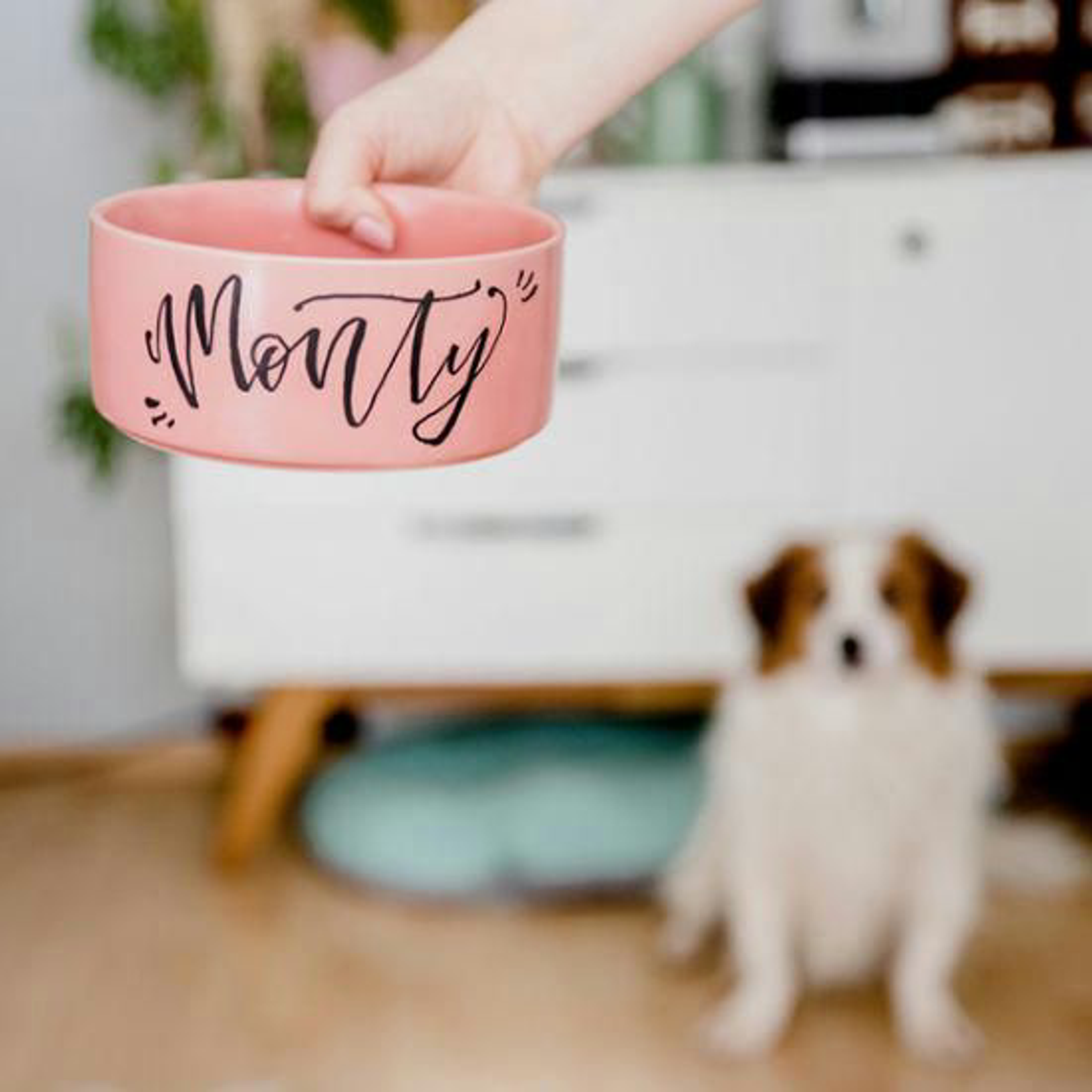 Blogpost-Handlettering-napf-fertig