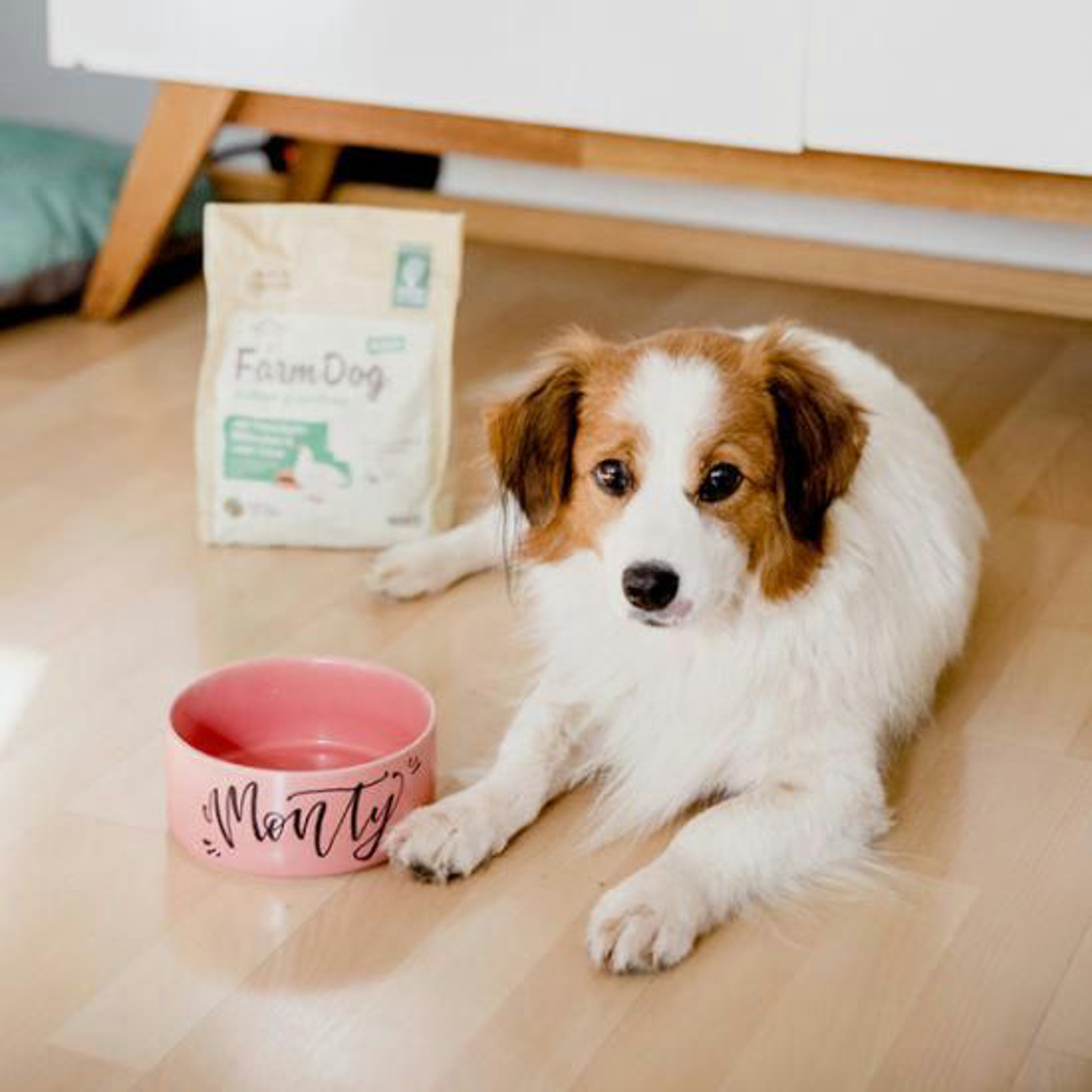 Blogpost Handlettering Napf Greenpetfood