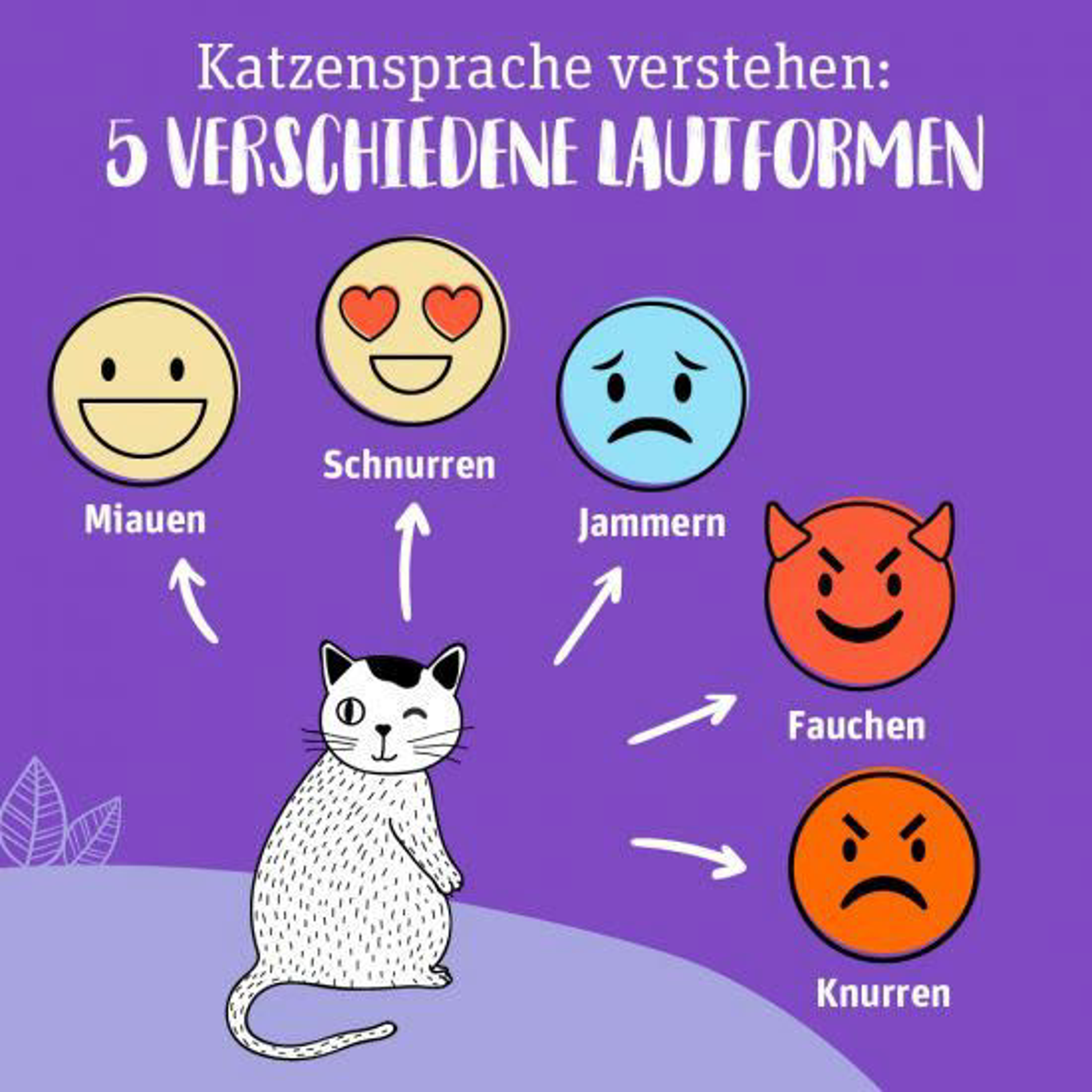Infografik-Katzensprache-verstehen_v1