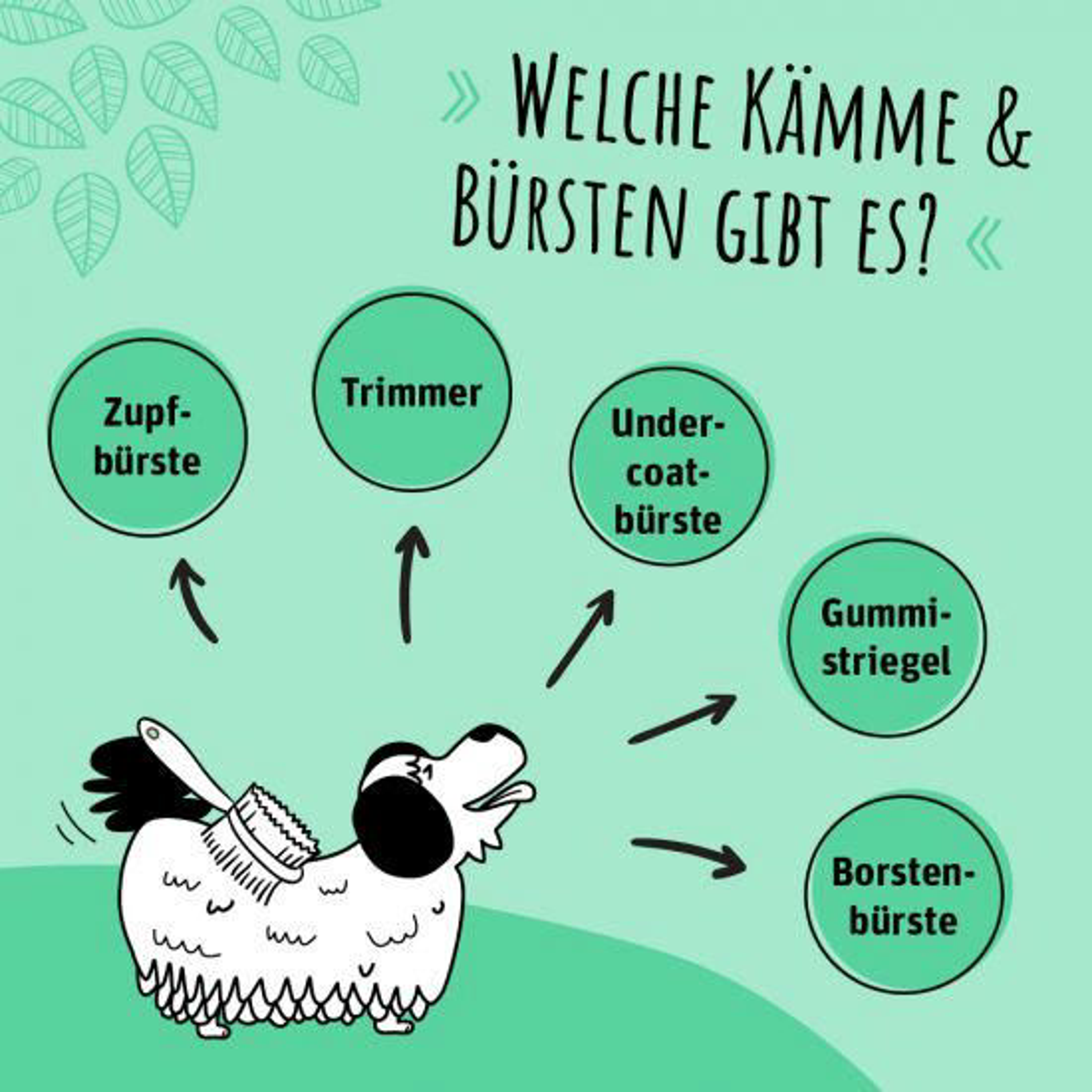 Infografik-Fellwechsel