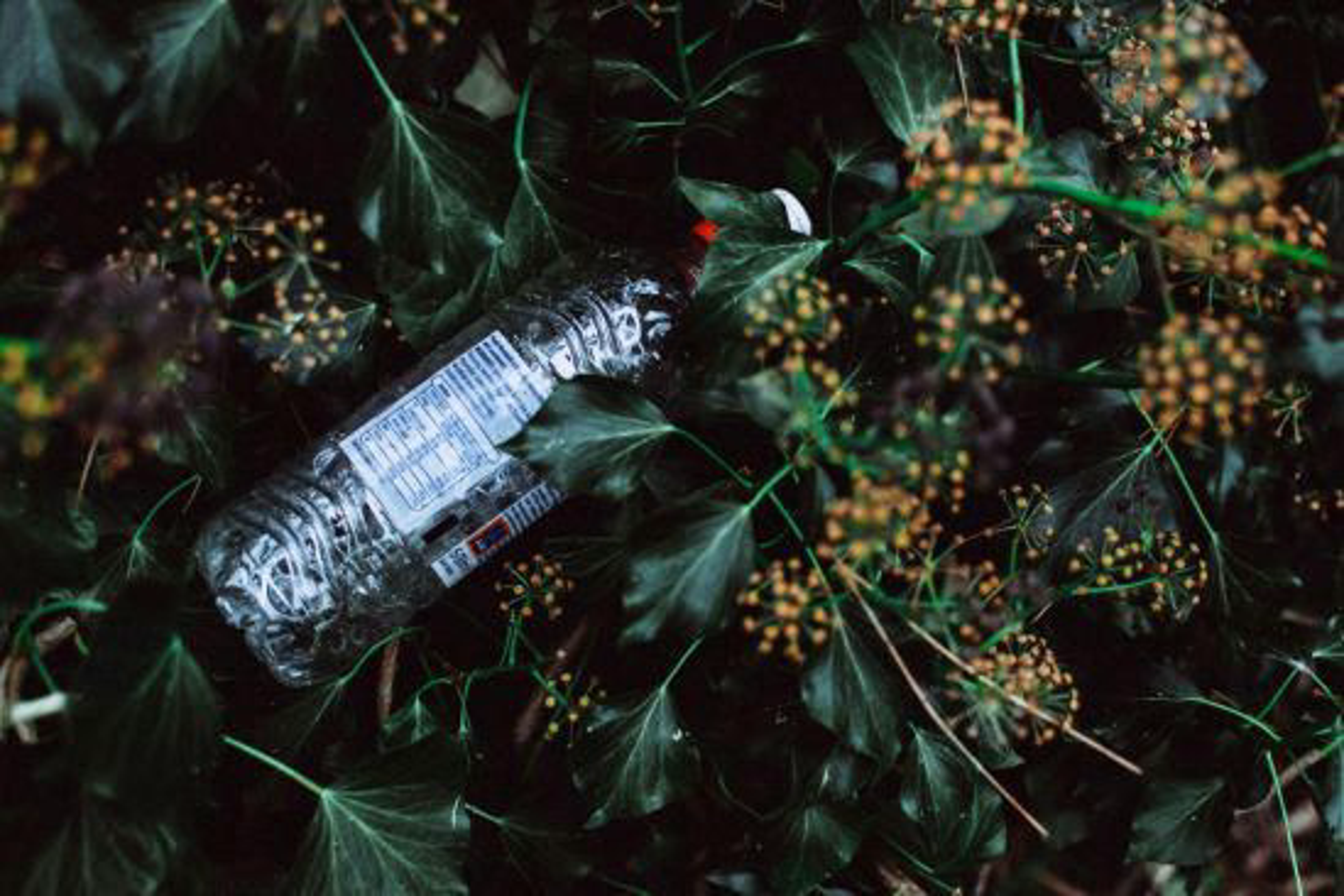 plastikflasche-in-natur