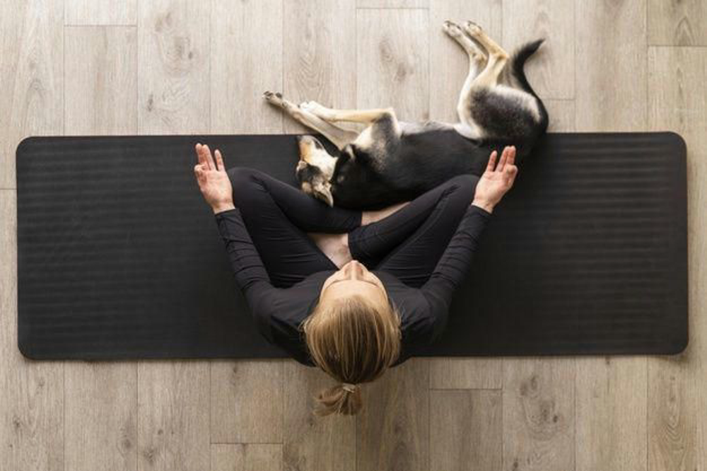 Yogamithund Titelbild