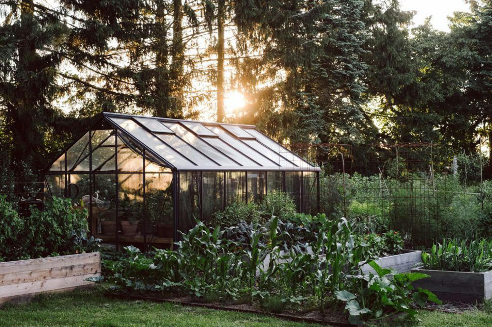 Greenpetfood C3b6koligisch Gc3a4rtnern 02