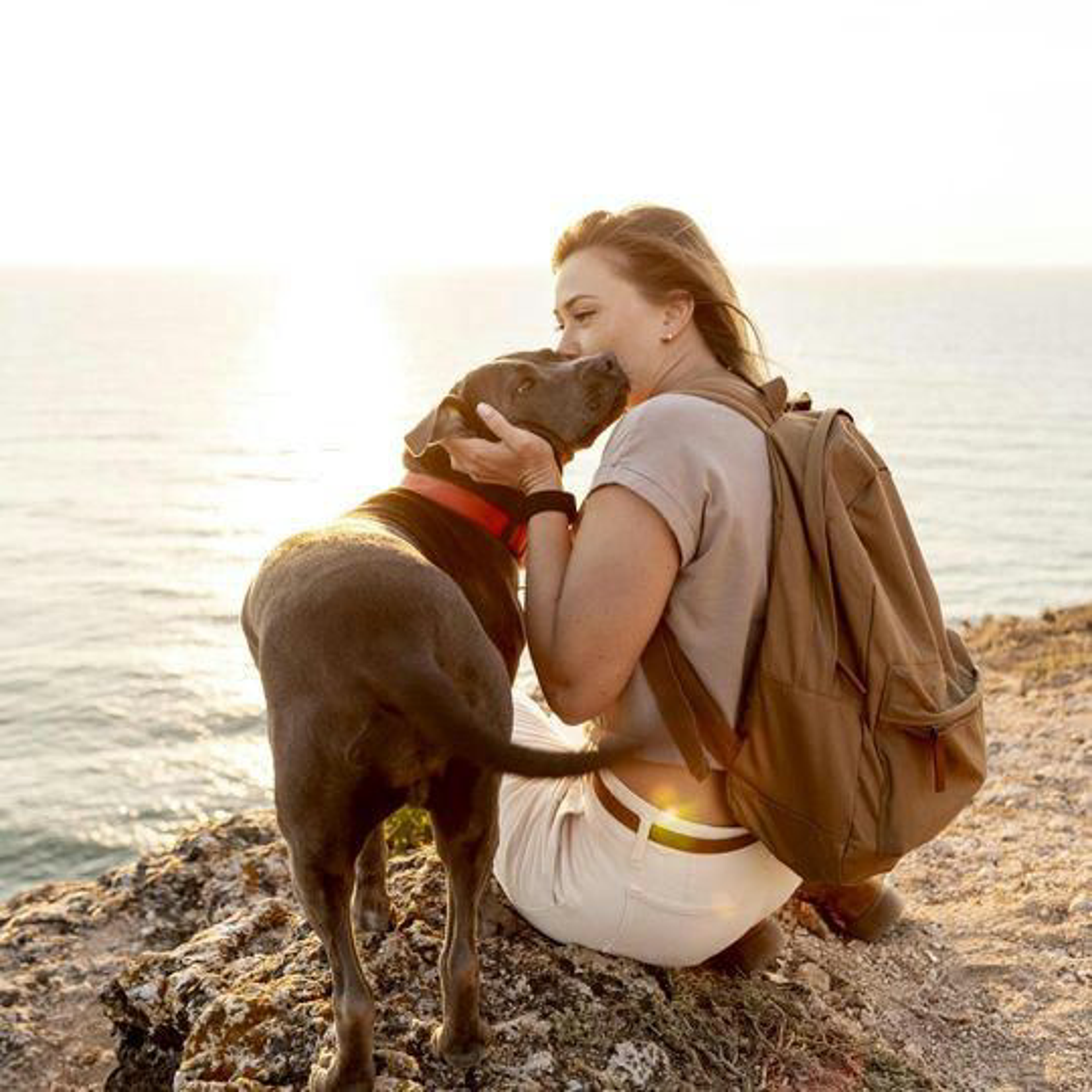 Urlaub Mit Hund