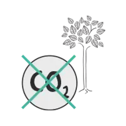 Icon 2017