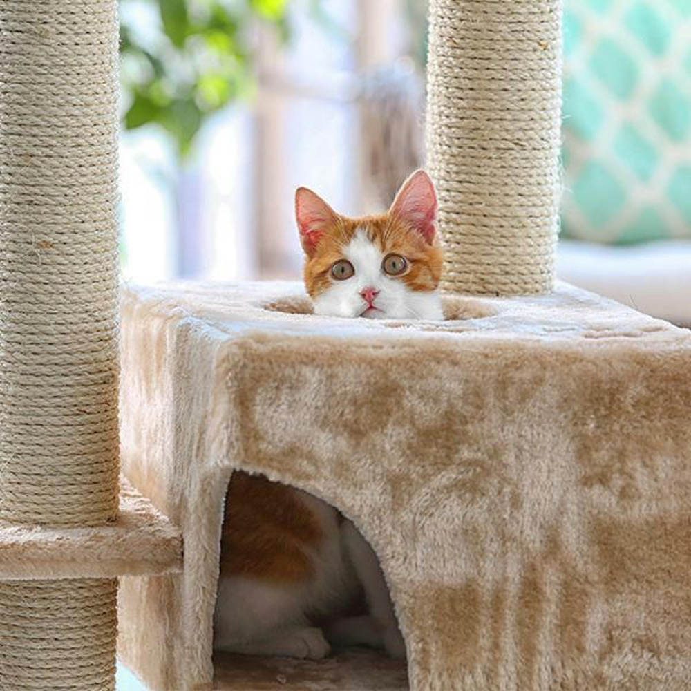 Katze Kratzbaum Diy Vorschau