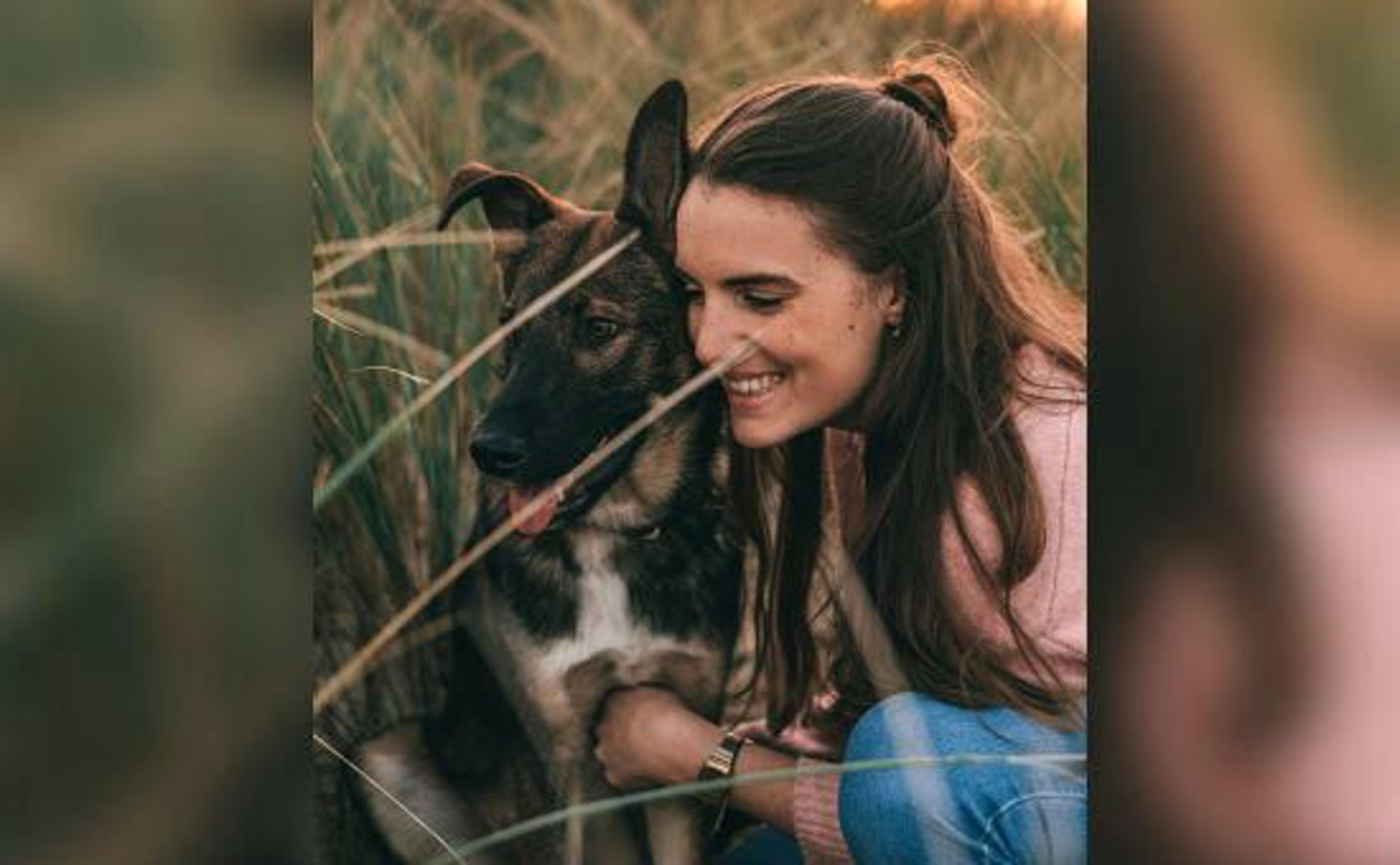 Hund_Bucketliste_pexels-anais-ruiz-6303378_Beitragsbild_970x600