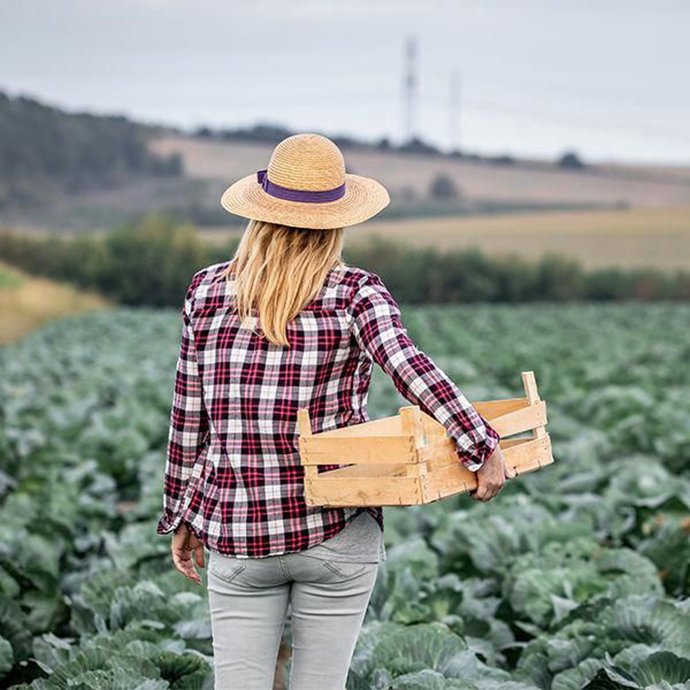 Saisonakalender Hund Maerz Shutterstock 1902232228 Vorschaubild 600x600