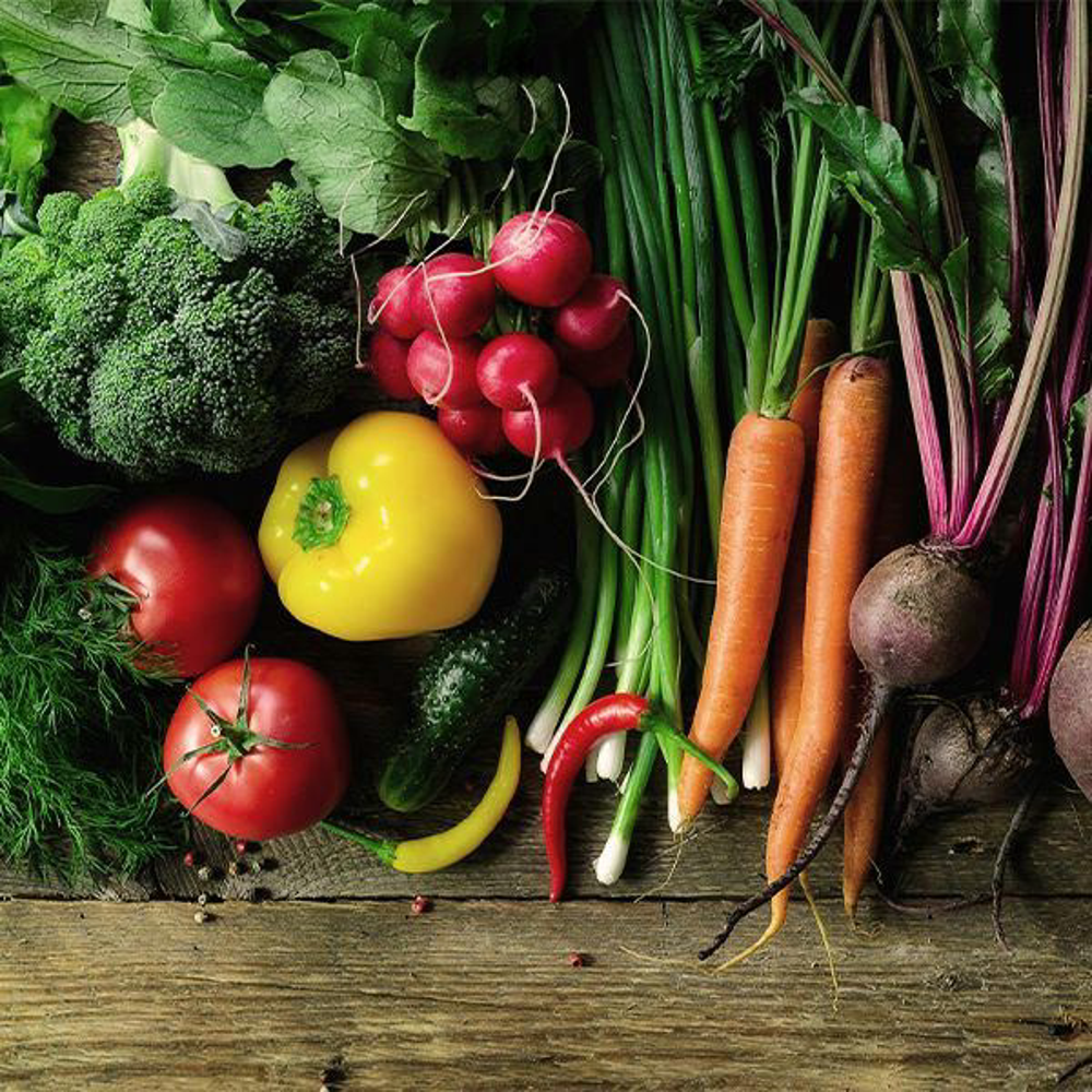 Saisonkalender Katze Allgemein Shutterstock 718967578 Vorschaubild 600x600