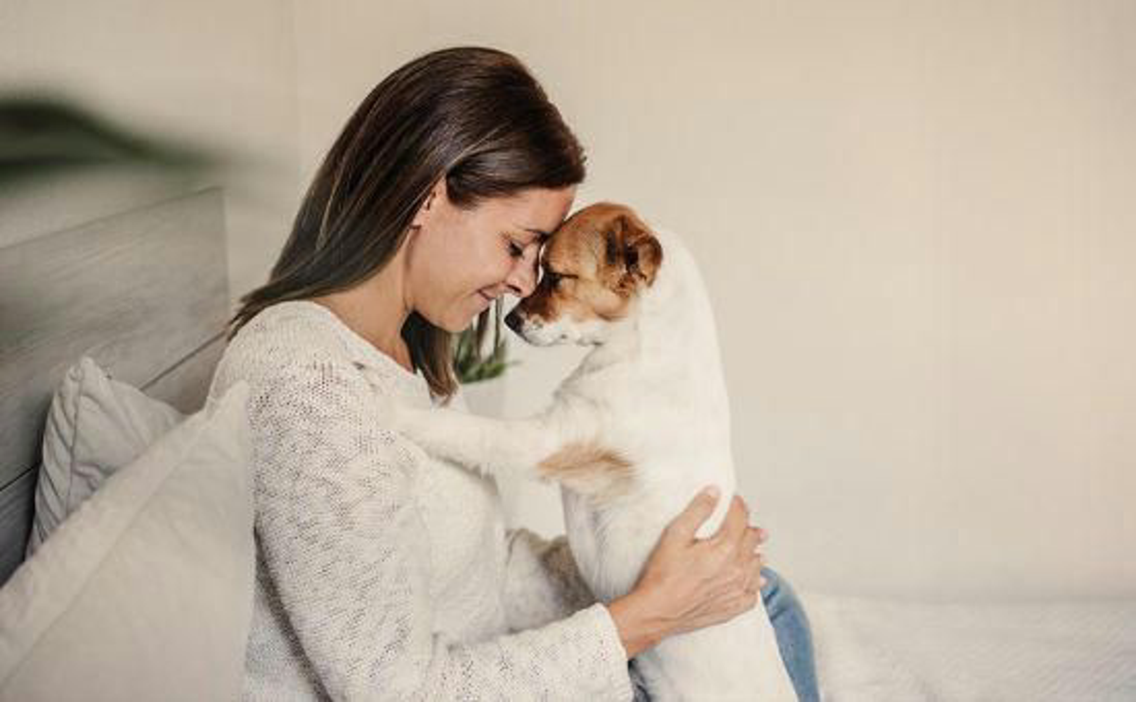 Hund_Herbst_shutterstock_2037608441_Beitragsbild_970x600