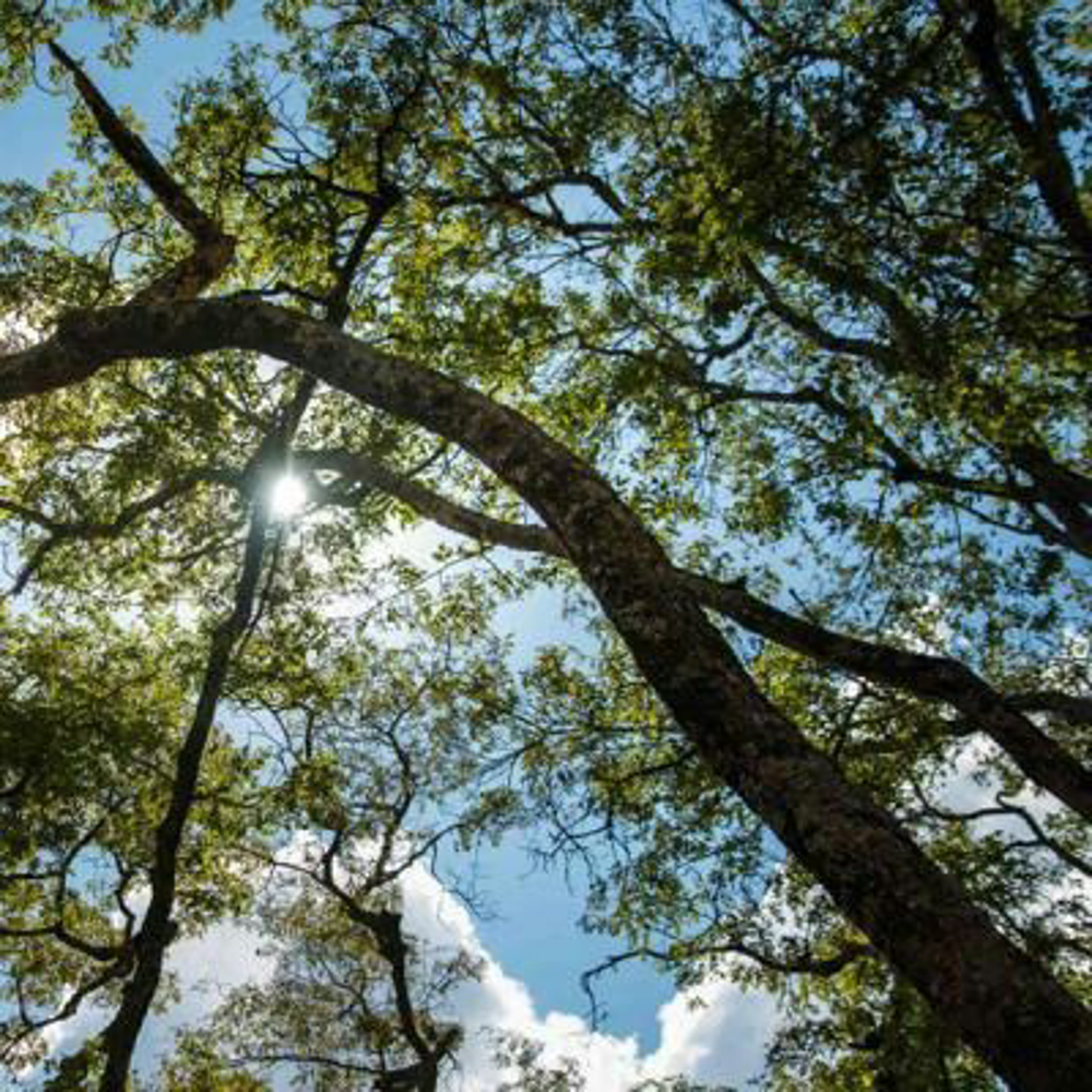 Ntakata Mountains Teaser