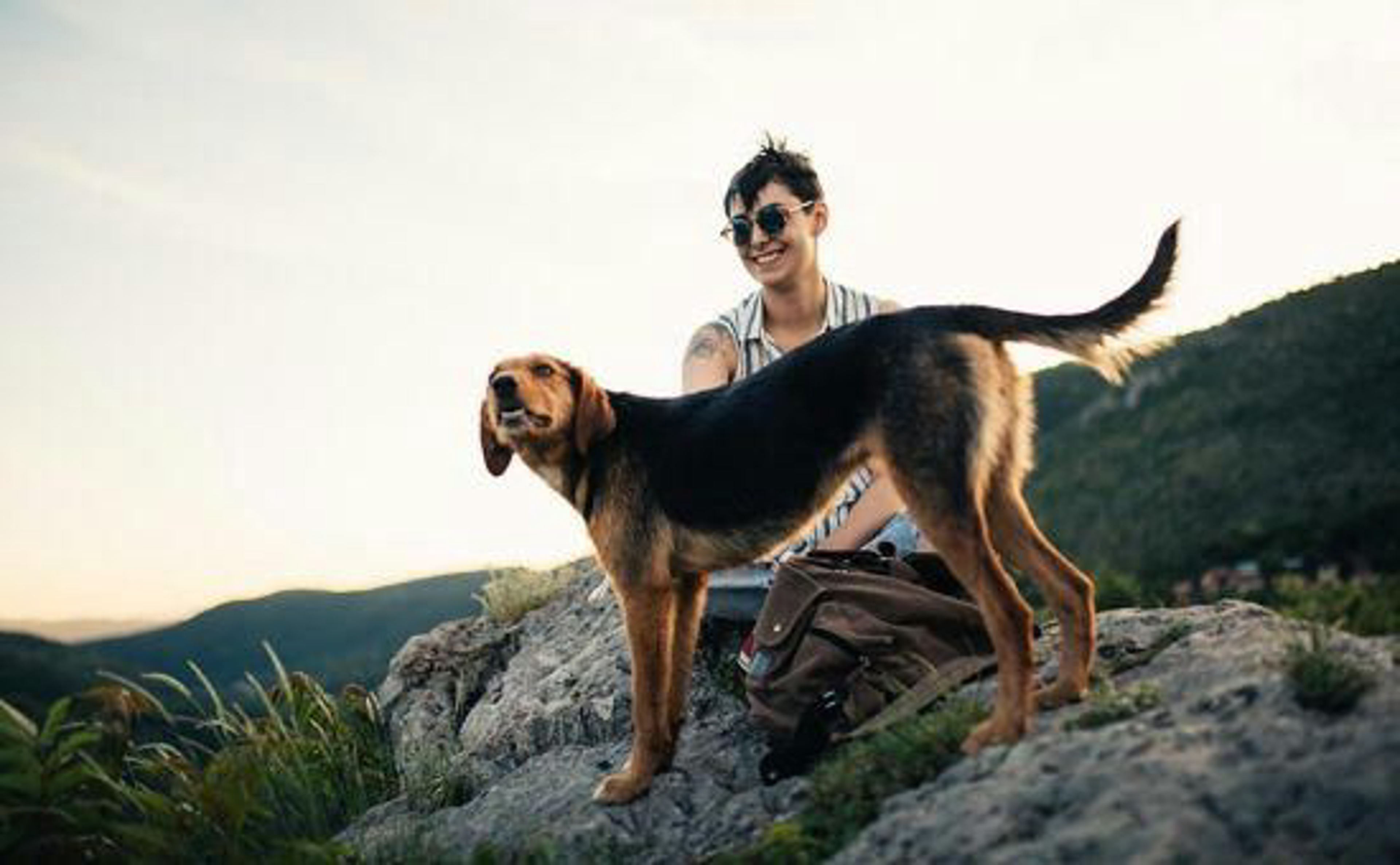 Hund_nachhaltigleben_shutterstock_713053885_Beitragsbild_970x600