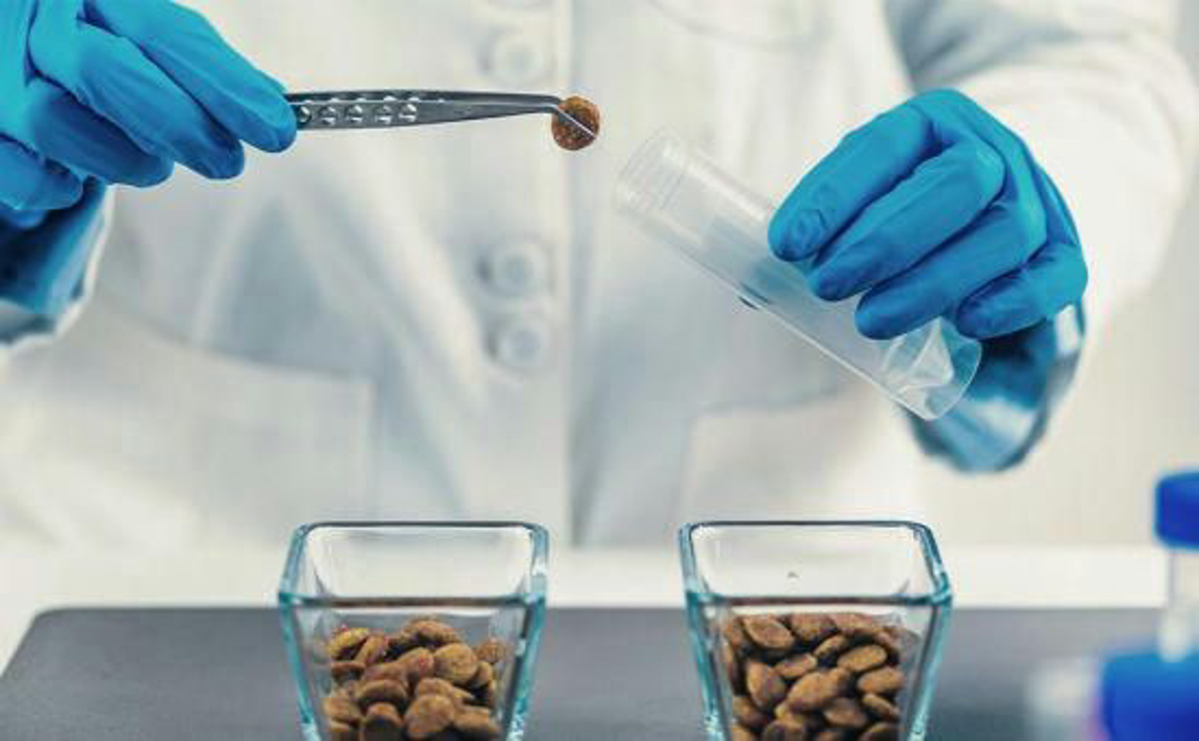 Herstellung-Hundefutter_shutterstock_1798313380_Beitragsbild_970x600