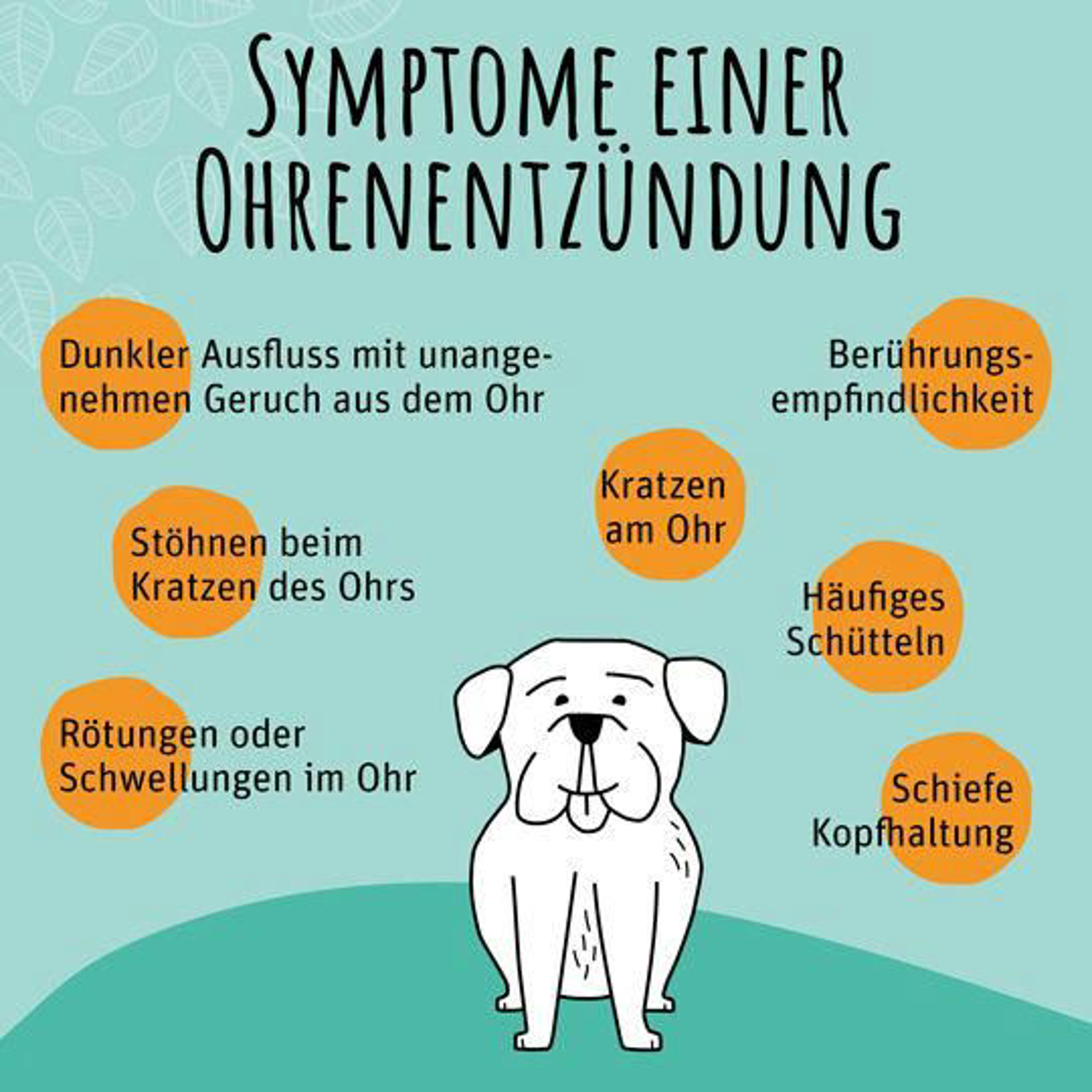 iInfografik-ohrenentzuendung