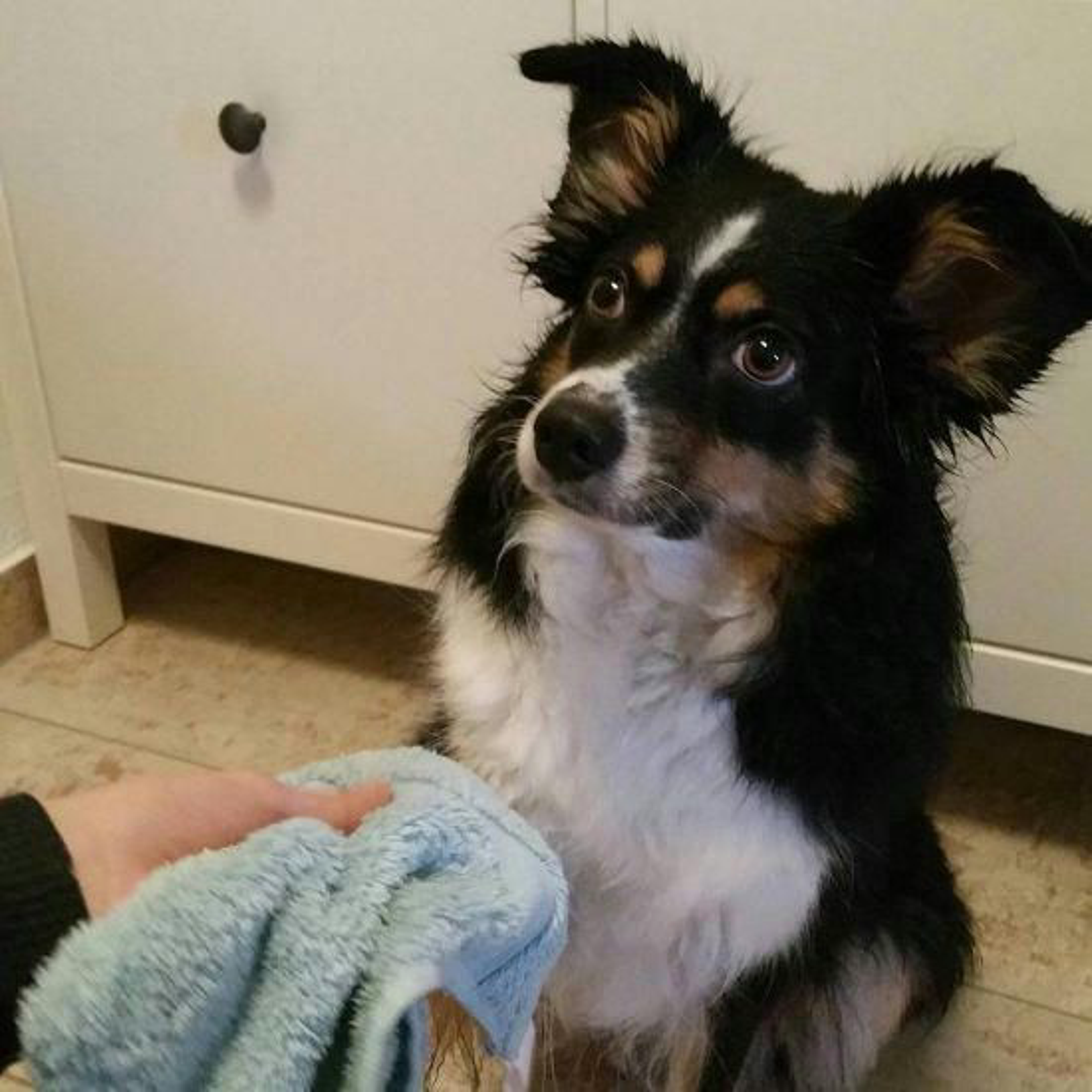 Ronja 1100 X 1100 Px