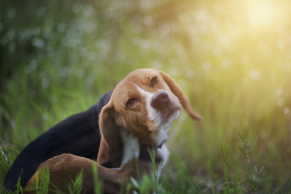 Istock 840592728