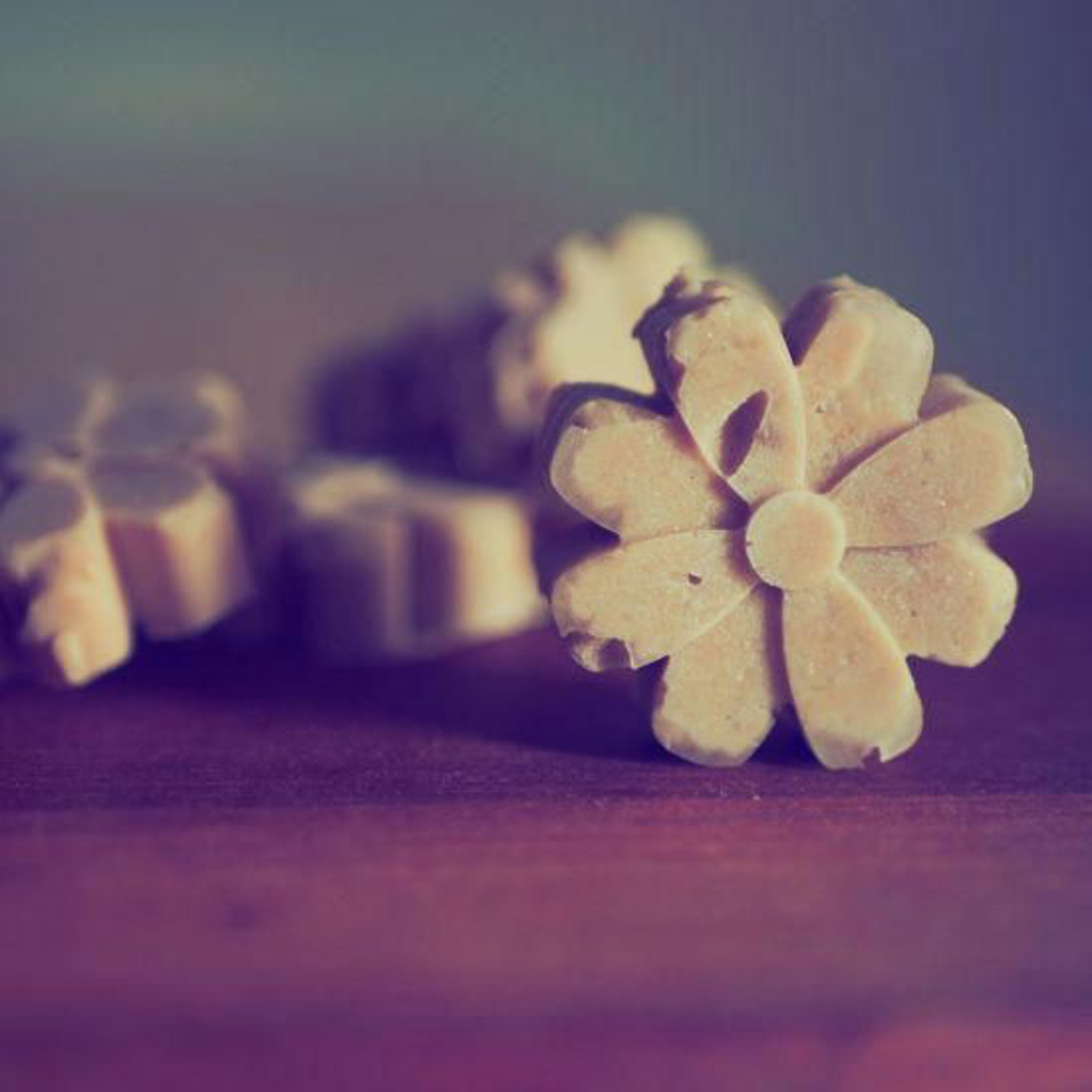 Erdnuss-Kokos-Hundeeis1