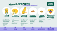 Infografik Green Petfood: Hund erbricht