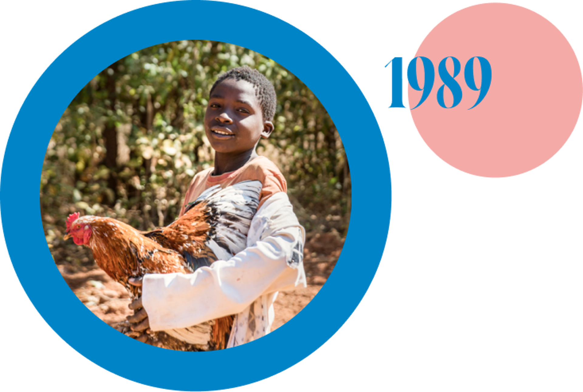 1989 - ERBACHER foundation