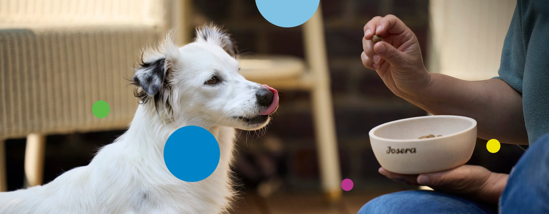 Our brand portfolio meets the nutritional needs of animals and people