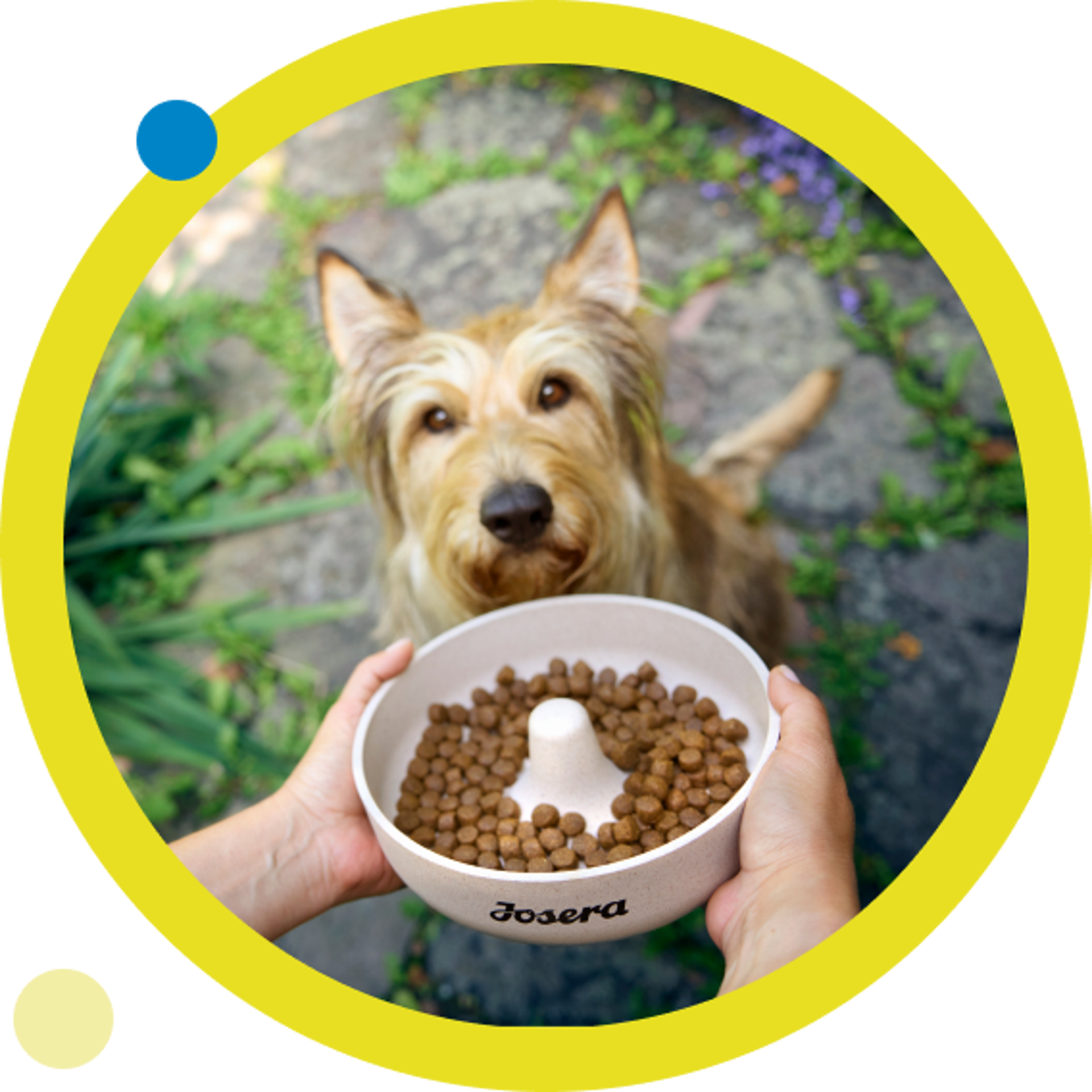 High quality standards