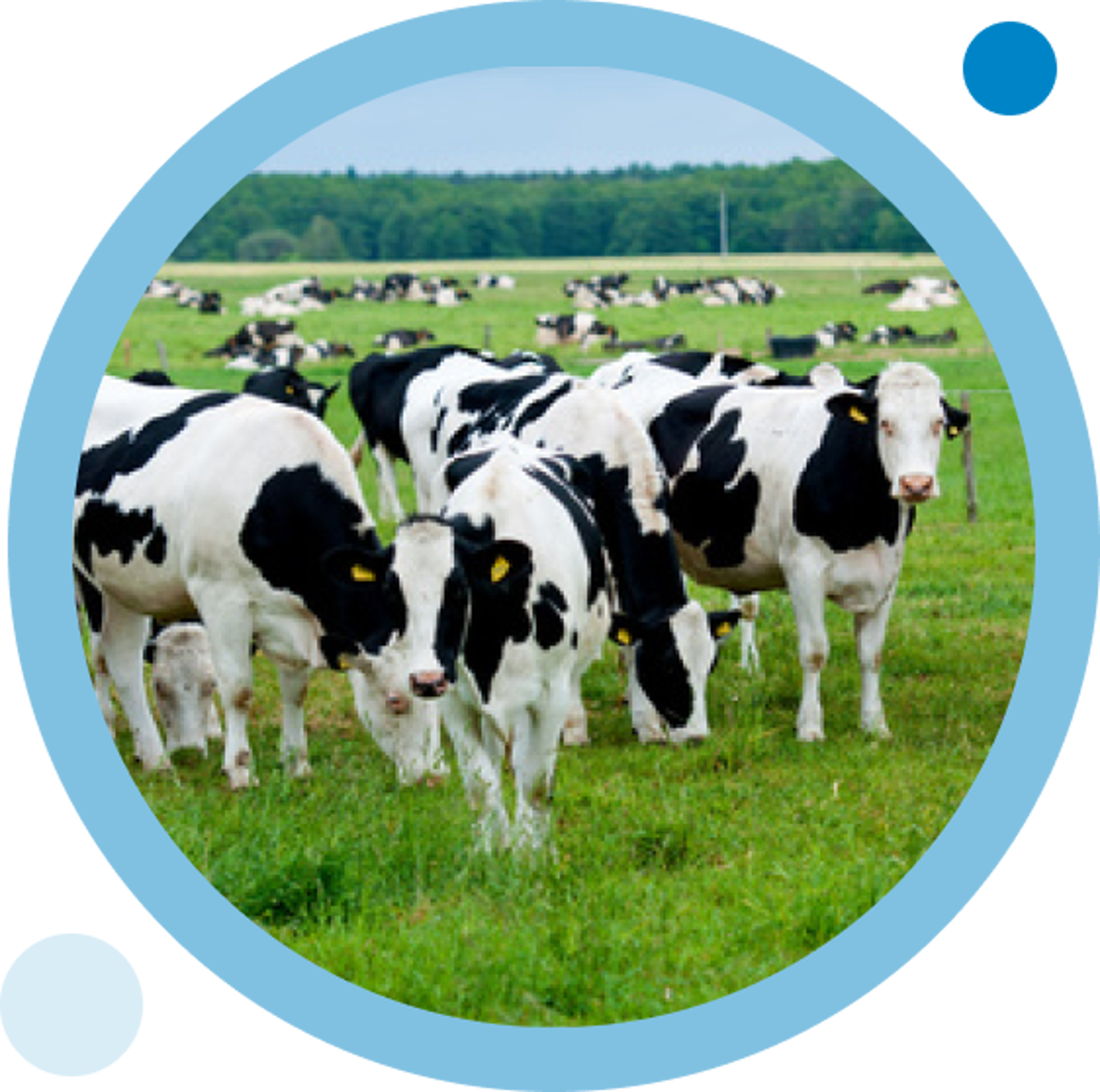 Josera way of farming