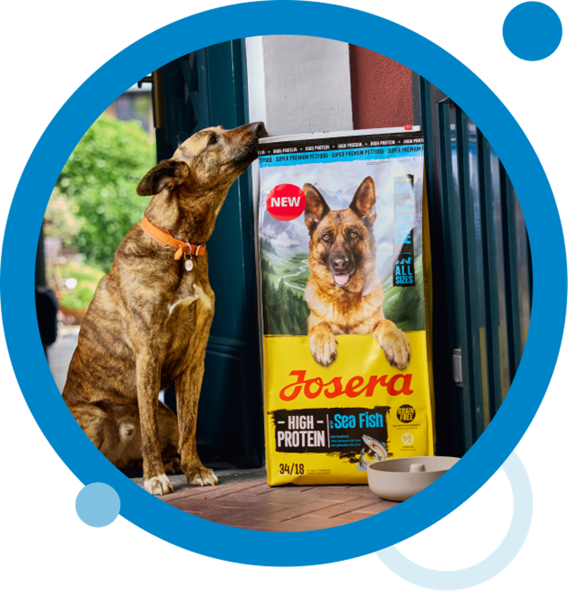 Rethinking packaging