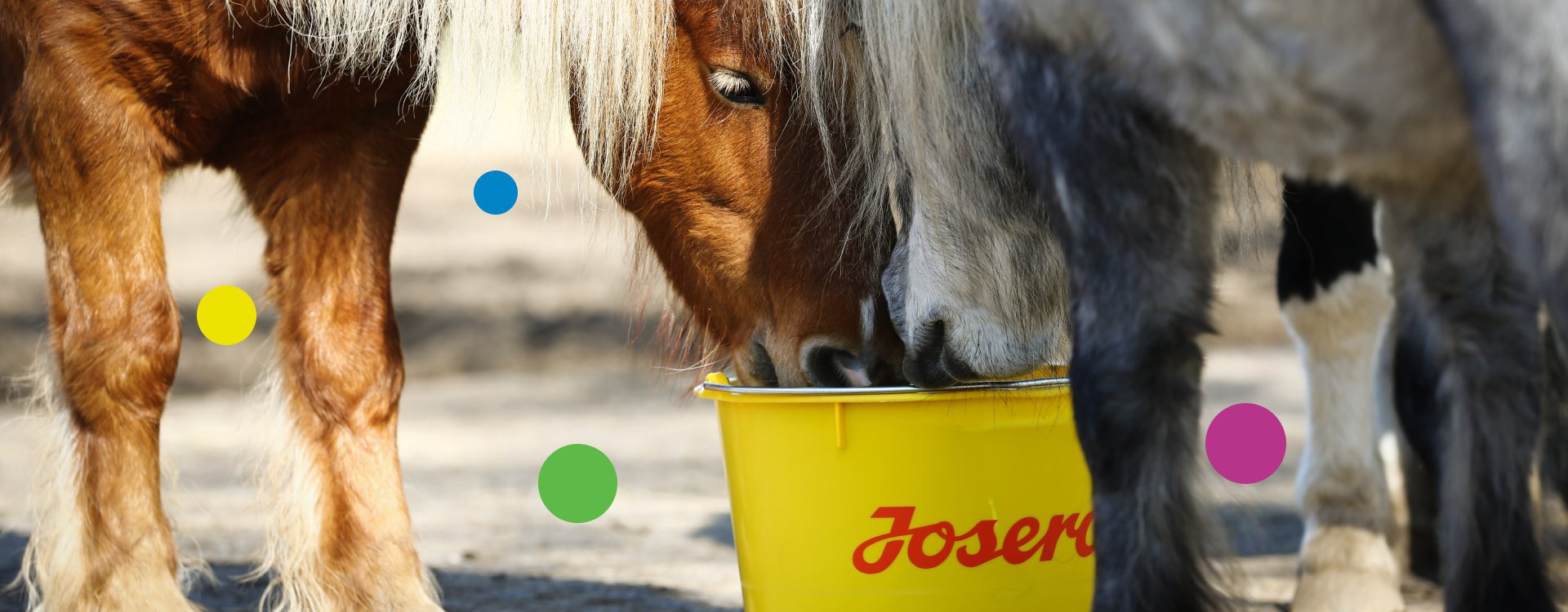 We create future-oriented food for animals and people